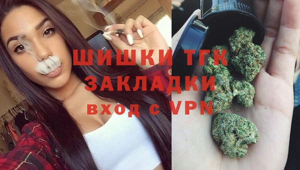 стафф Россошь