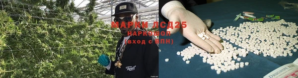 стафф Россошь