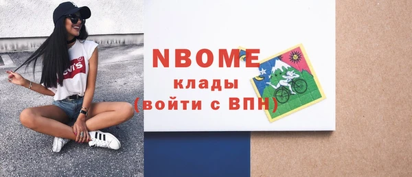 стафф Россошь