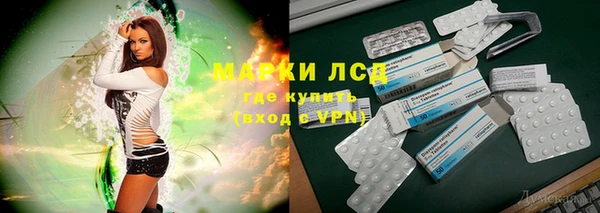 стафф Россошь